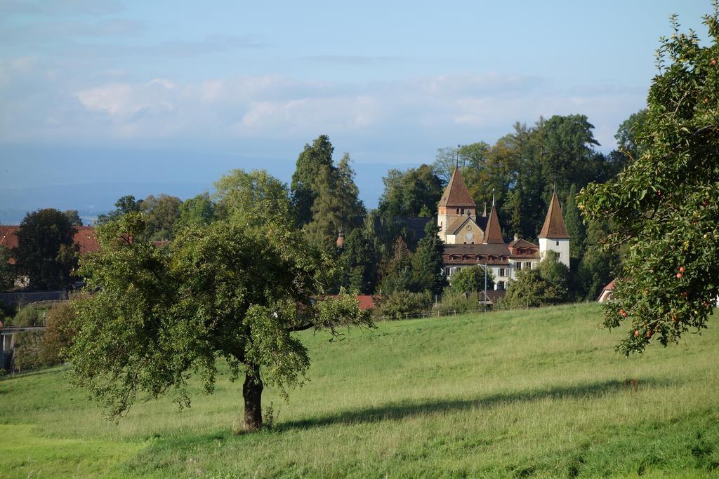 Schloss Muenchenwiler Murten Bagian luar foto